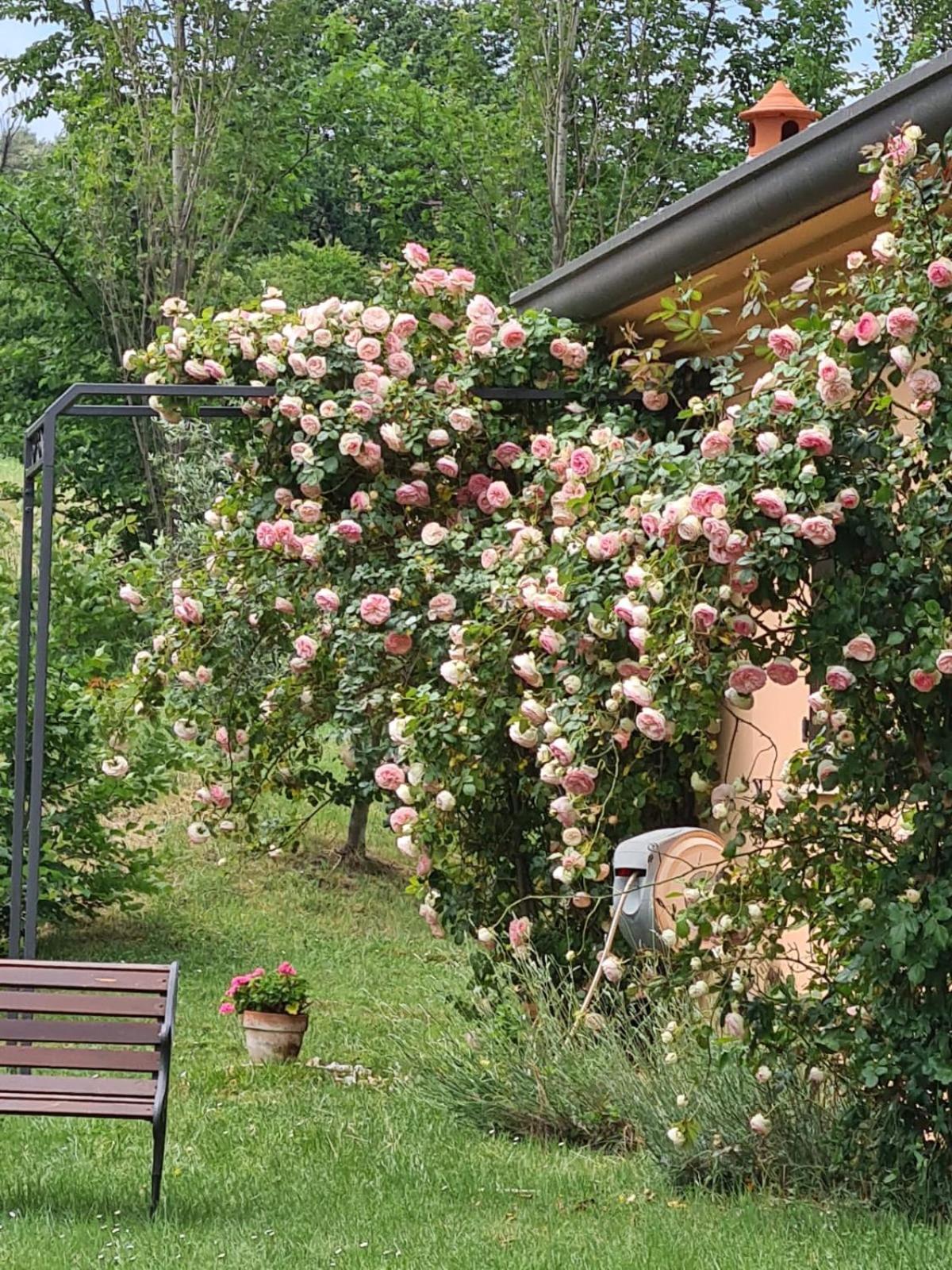 B&B Rosaverde Mulazzano Eksteriør bilde